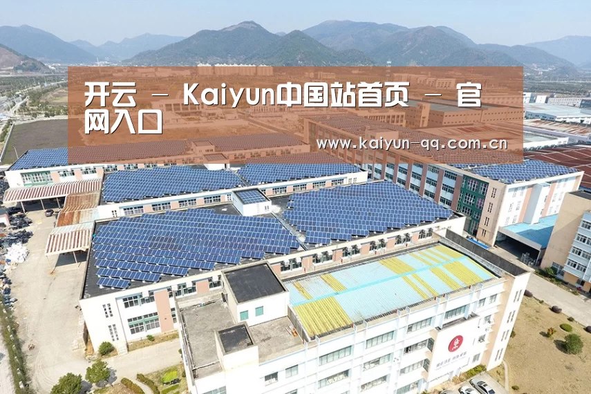 案例展示二