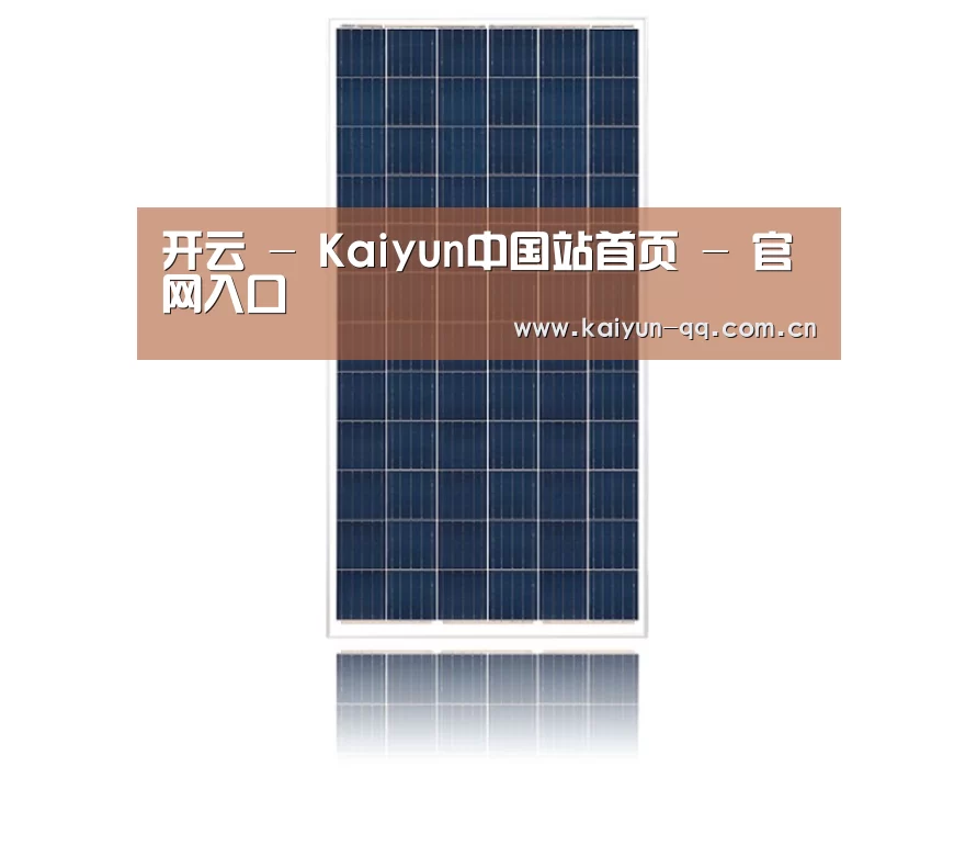 产品名称一