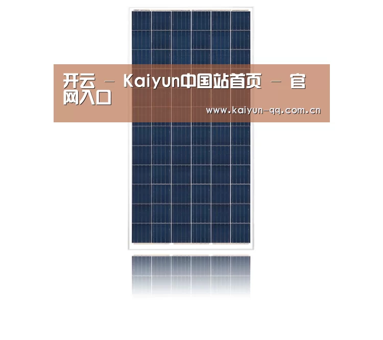 产品名称一